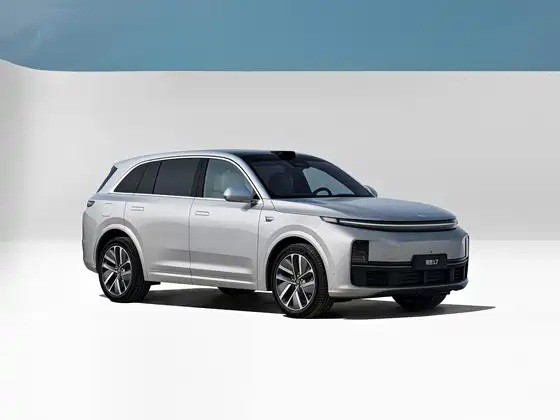 Chinese electric vehicles
