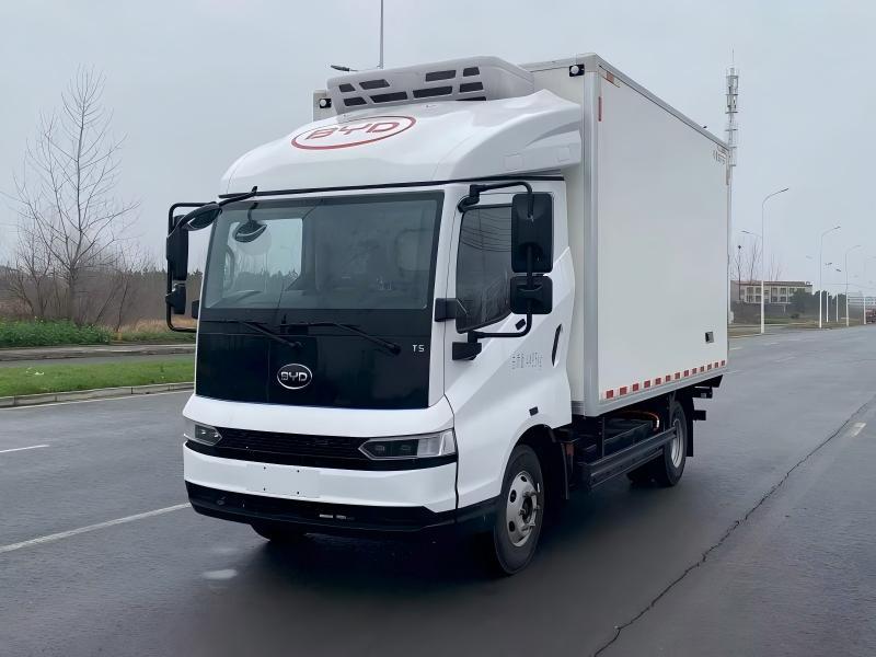 BYD T5
