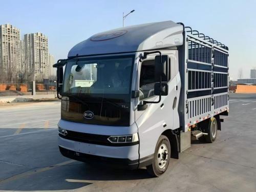 BYD T5DM & T5EV Electric Light Trucks from China | Hybrid & EV Options