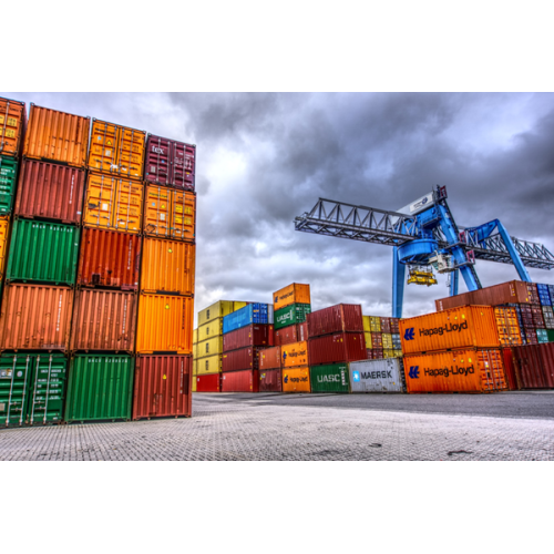 Are ocean freight rates rising across the board in 2025?