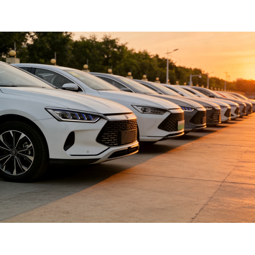 Selling BYD Cars - China's Auto Exports