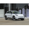 Geely Xingyuan 2025 UP 410km Explore Edition Pure Electric Used Car from China