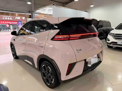 2025 BYD Seagull Intelligent Driving Edition 305km Free Version Used Electric Car