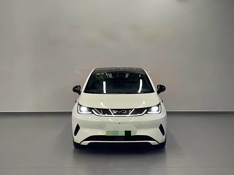 2025 BYD Dolphin Intelligent Driving Edition 410km Fashion Version