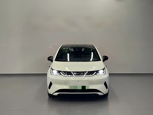 2025 BYD Dolphin Intelligent Driving Edition 410km Fashion Version Used Electric Car