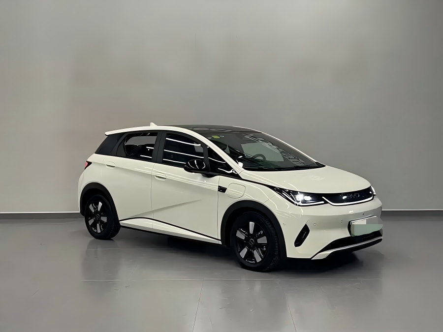 2025 BYD Dolphin Intelligent Driving Edition 410km Fashion Version