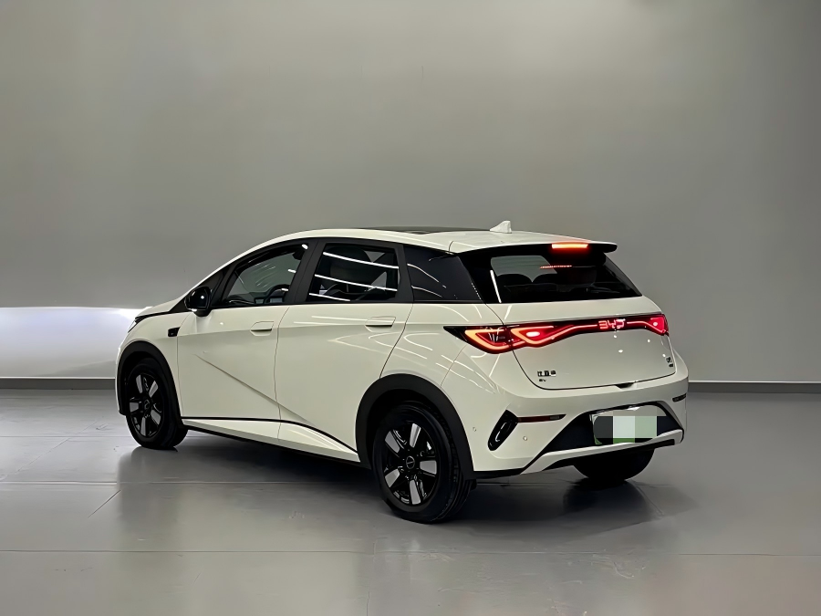 2025 BYD Dolphin Intelligent Driving Edition