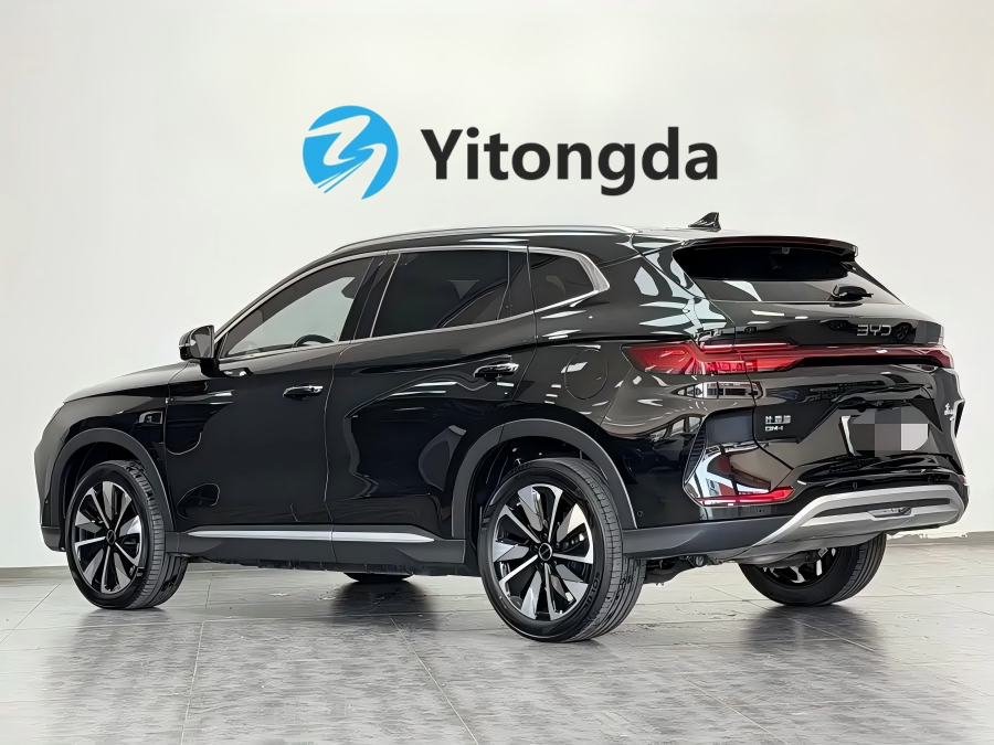 2025 BYD Dolphin Intelligent Driving Edition