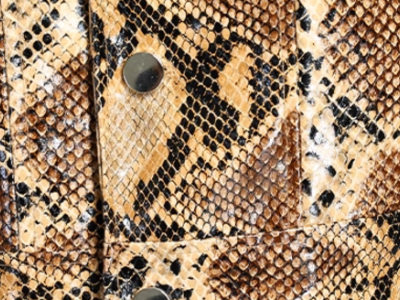 Snake Leather Jacket