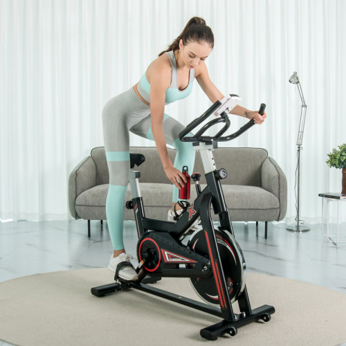 Home Use Heavy Flywheel Spin Spinning Bike