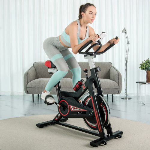 Home Use Heavy Flywheel Spin Spinning Bike