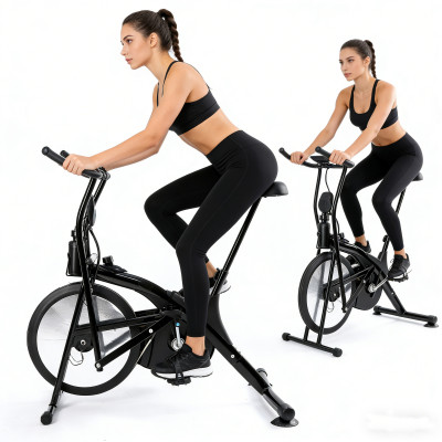 Professional Fitness Equipment Indoor Adjustable Fan Spinning Air Bike