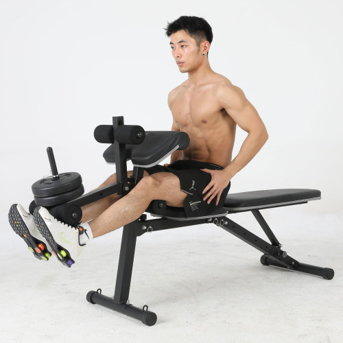 Home Gym Weight Lifting Dumbbell Bench Folding Adjustable Multi Functional Bench