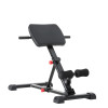 Abdominal Exercise Waist Extension Workout Buttocks Foldable Adjustable Portable Ab Bench Gym Roman Chair