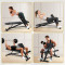 Custom Logo Unisex Indoor Fitness Equipment For Dumbbell Bench