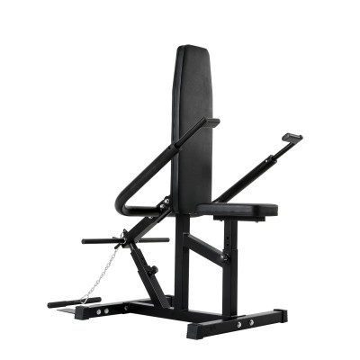 Durable Plate Loaded Adjustable Stainless Steel Seated Dip Machine