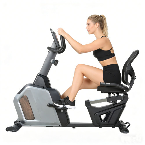 Heavy Duty Magnetic Adjustable Resistance Ergonomic Recumbent Bike
