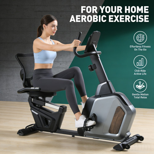 Heavy Duty Magnetic Adjustable Resistance Ergonomic Recumbent Bike