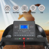 Multifunctional Foldable Home Treadmill with DC Motor-Exercise & Fitness Equipment on Sale