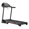 Multifunctional Foldable Home Treadmill with DC Motor-Exercise & Fitness Equipment on Sale