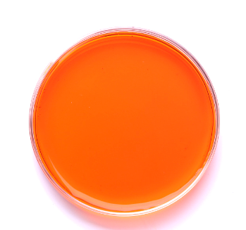 Pigment orange 36