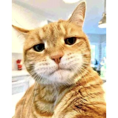 Bedroom Waterproof Decoration Material Vinyl Plank