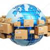 Become a TILER Distributor: Your Strategic Gateway to the Global Tile Tools Market