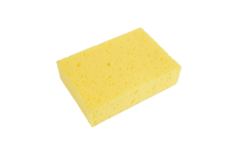 sponge