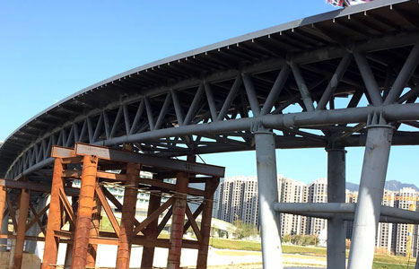 Bridge steel structure