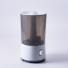Portable Humidifier for whole house  with 2.6 Litres