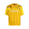 Apparel supplier | Custom embroidery logo jerseys | Satin unisex soccer jersey | Ultra-thin | Mesh