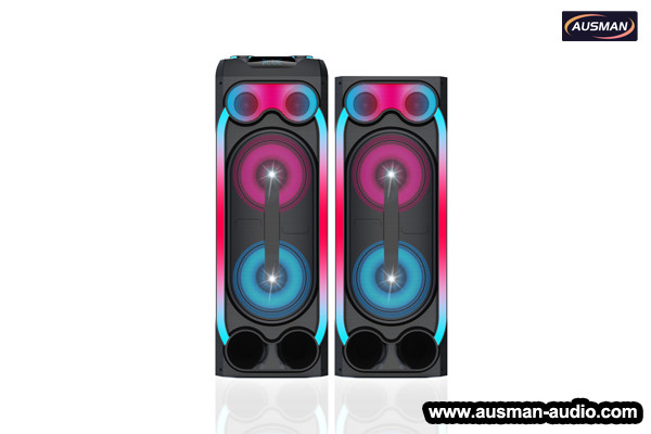 Floor-standing speaker AUSMANA AS-PS20