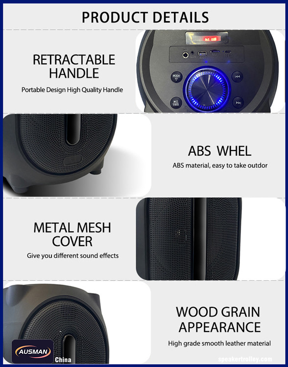 Details of Portable speaker AS-T312