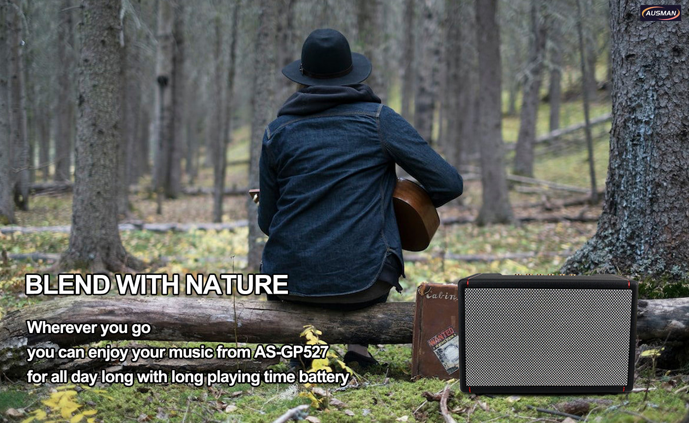 Vintage Bluetooth Speaker AS-GP527 in nature