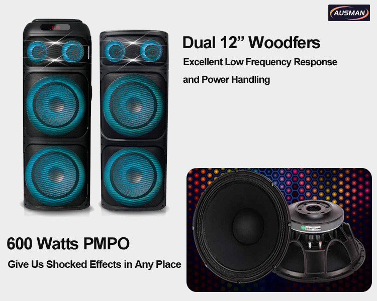 12 inch woofers of floor standing speaker AS-PS27