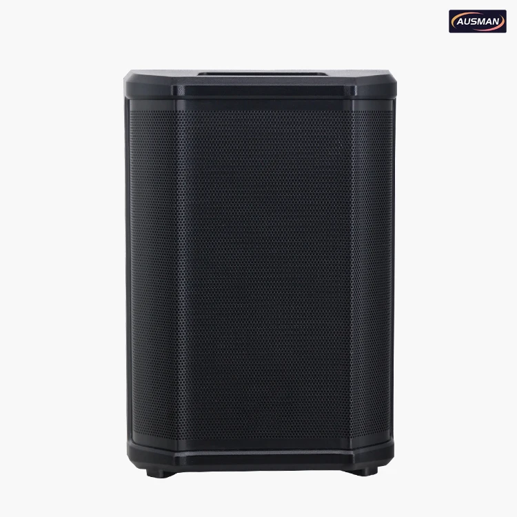 Portable PA System AS-219