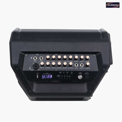 AS-219 Portable Pro Speaker System From China