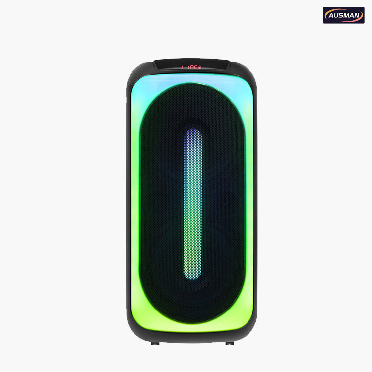 Deteials of outdoor speaker system AS-0809