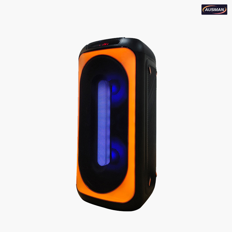 Deteials of outdoor speaker system AS-0809