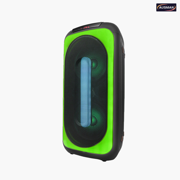 Deteials of outdoor speaker system AS-0809