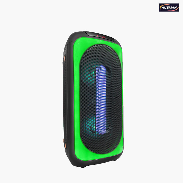 Deteials of outdoor speaker system AS-0809