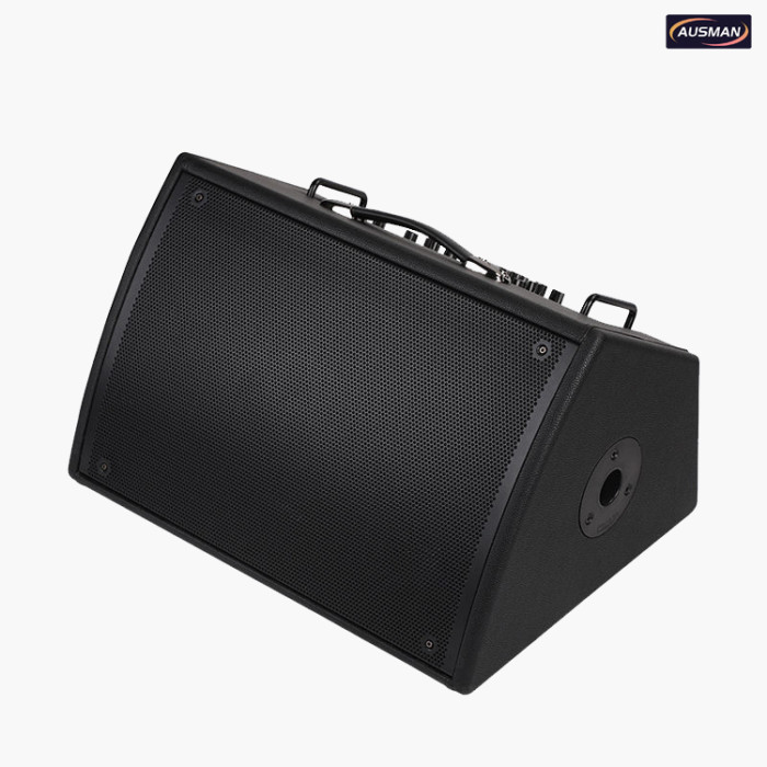 Dual 6.5" Portable Musical Instrument Amplifier