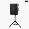 Dual 6.5" Portable Musical Instrument Amplifier