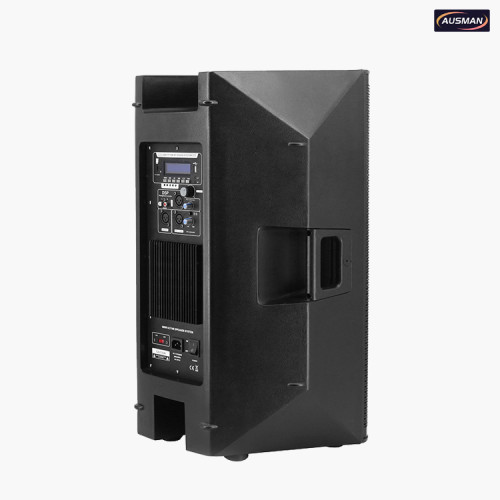 Powerful Wireless PA System With Factory Price