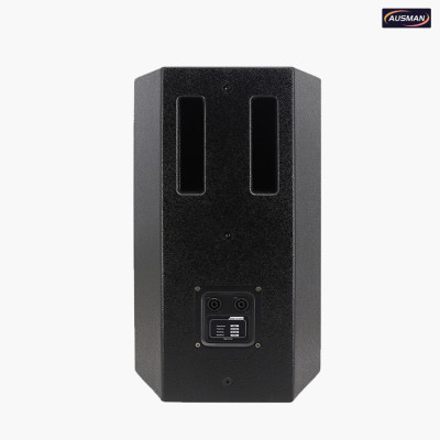 Wholesale Passive Wooden Speaker Cabinet 600W AS-KU18