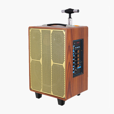 Wooden Torlley speaker AS-81L
