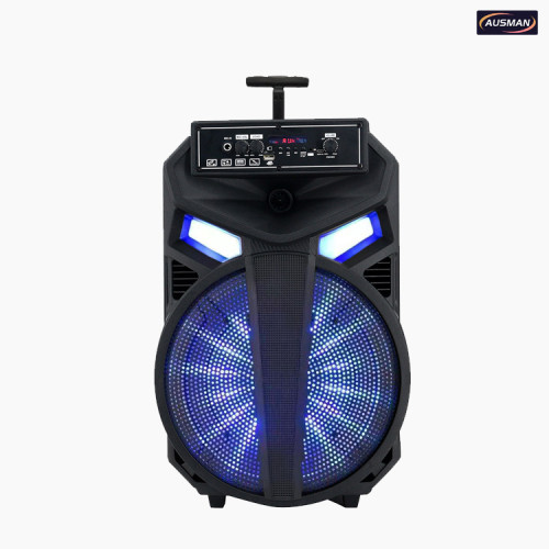 ODM Altavoz inalámbrico Bluetooth portátil de 12 "con barra de tracción