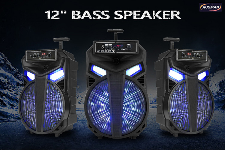 12 inch bass speaker AUSMAN AS-1205  	