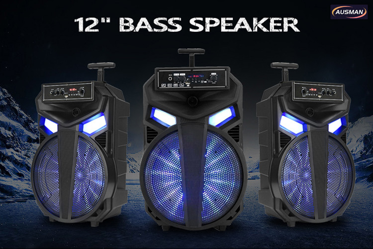 12 inch bass speaker AUSMAN AS-1205   