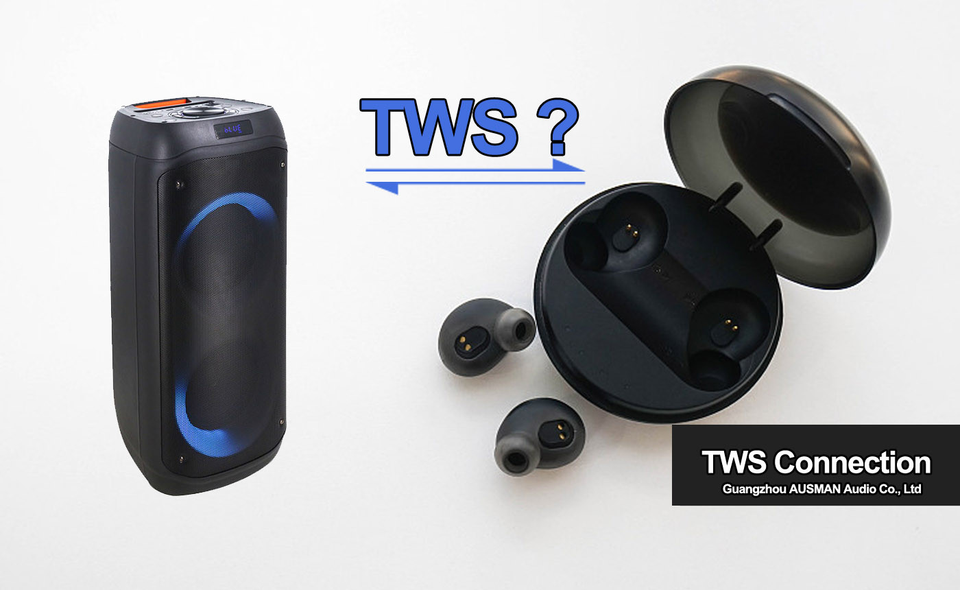 TWS for earphone and large party speaker